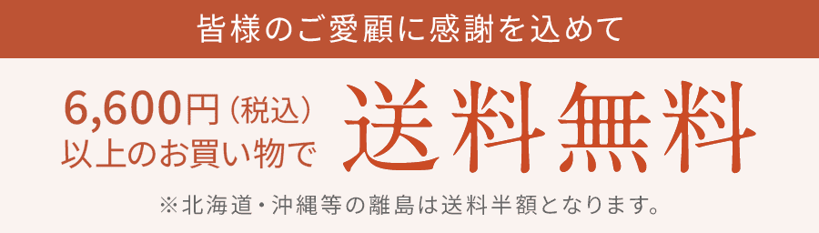 6,600円以上のお買い物で送料無料