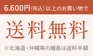 6,600円以上で送料無料
