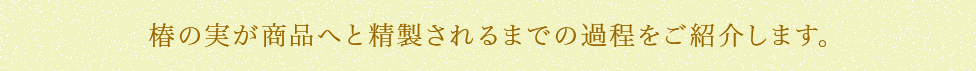 椿の実が商品へと精製されるまでの過程をご紹介します。