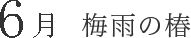 6月 梅雨の椿