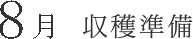 8月 収穫準備