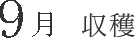9月 収穫