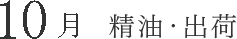 10月 精油・出荷